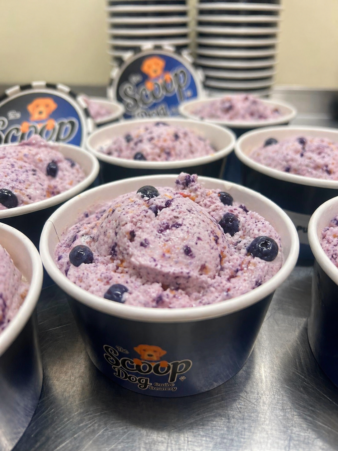 Blueberry Pup-cake Ice Cream - Local Customers Only